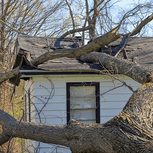 Emergency Roof Services