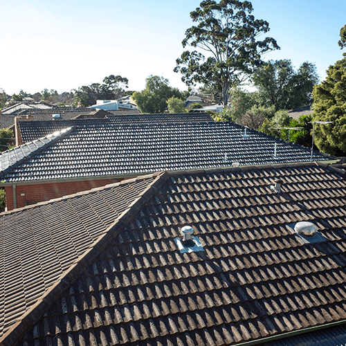 Roof Ventilation & Insulation